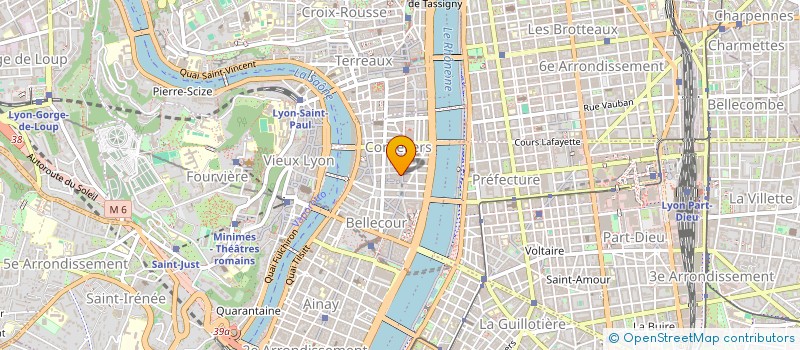 localisation de l'entreprise HOMERE IMMOBILIER  LYON