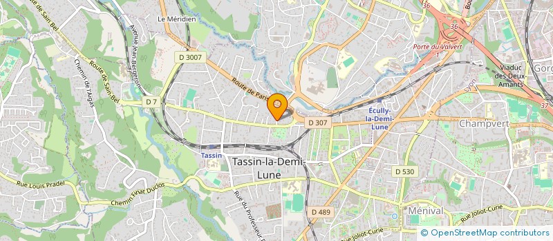 localisation de l'entreprise HOMEWORK CONSEIL à TASSIN-LA-DEMI-LUNE