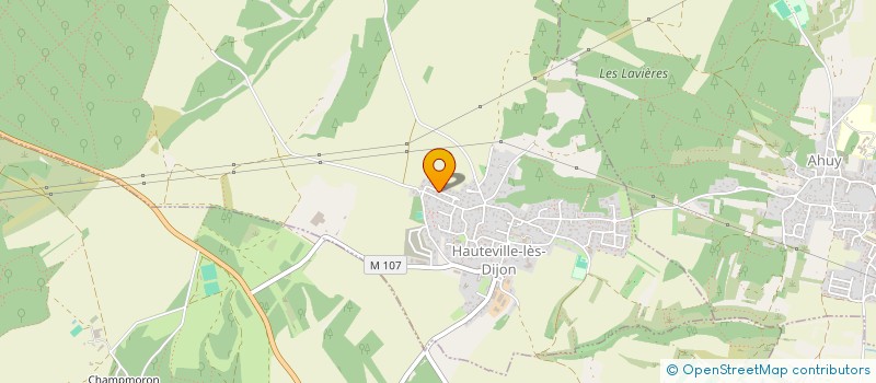 localisation de l'entreprise HOMFU  HAUTEVILLE-LES-DIJON