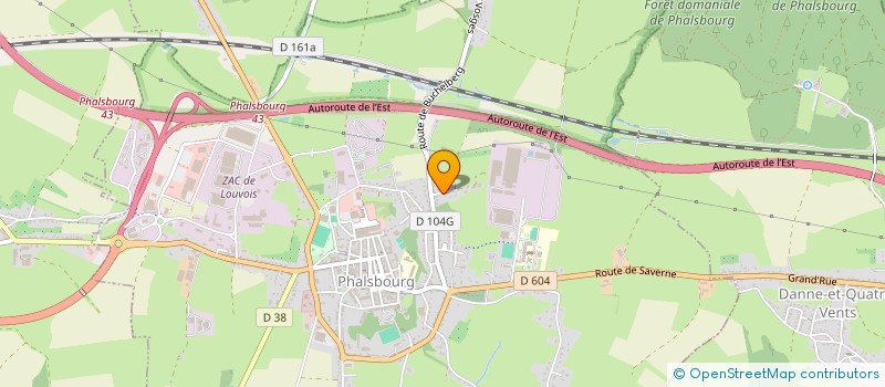 localisation de l'entreprise HOMO LUDENS PHALSBOURG  PHALSBOURG