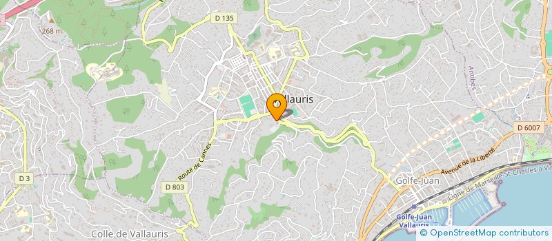 localisation de l'entreprise HONEHE HARMONY à VALLAURIS