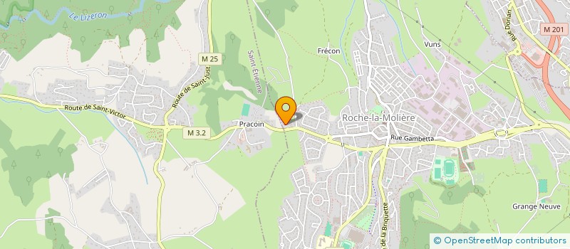 localisation de l'entreprise HONEY SPOON  SAINT-CHAMOND