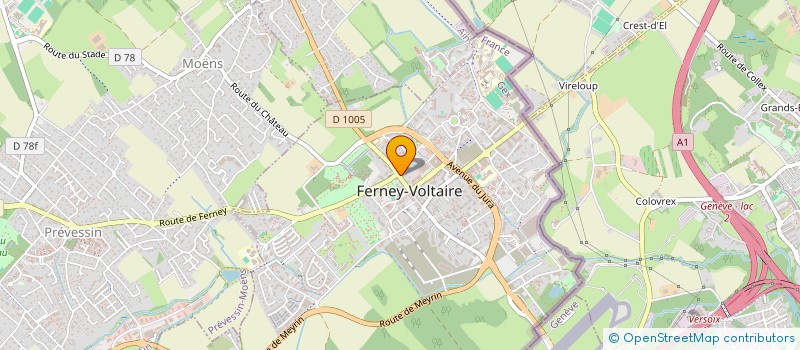 localisation de l'entreprise HOOPS OF IRON à FERNEY-VOLTAIRE
