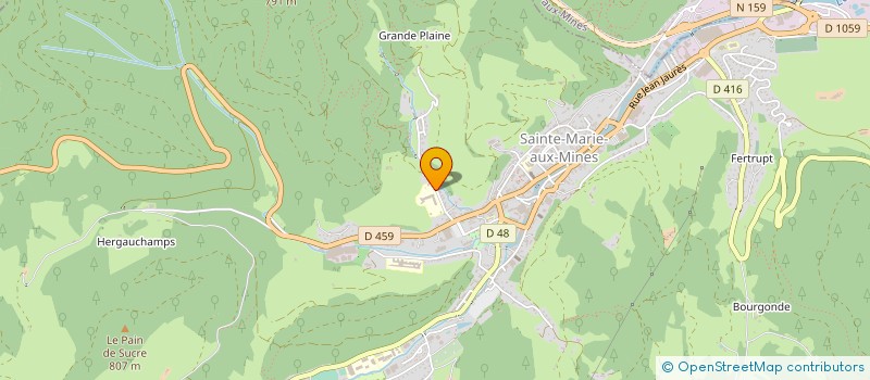 localisation de l'entreprise HOPITAL INTERCOMMUNAL DU VAL D'ARGENT à SAINTE-MARIE-AUX-MINES