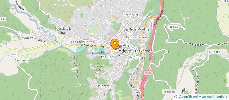 localisation de l'entreprise HOPITAL-LOCAL DE LODEVE à LODEVE