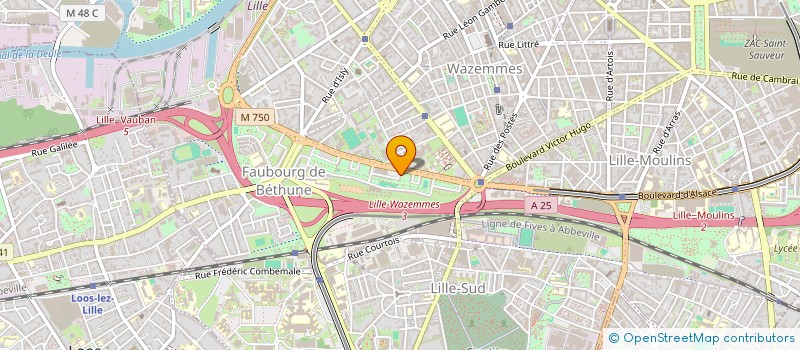 localisation de l'entreprise HORIZON 242 à LILLE