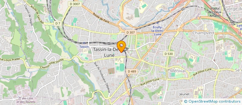 localisation de l'entreprise HORIZON  TASSIN-LA-DEMI-LUNE