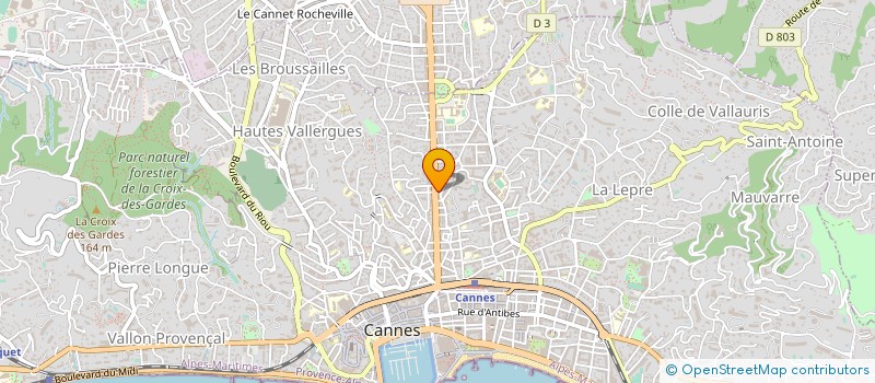 localisation de l'entreprise HORIZON VERT à CANNES