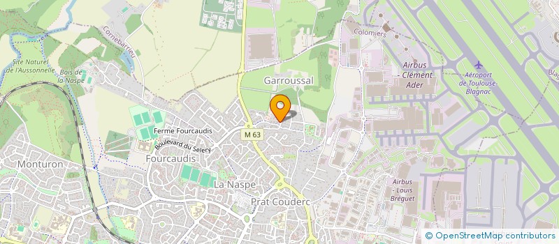 localisation de l'entreprise HORMIGA SALSERA à COLOMIERS