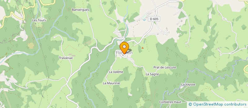 localisation de l'entreprise HORNET  FLORENTIN-LA-CAPELLE