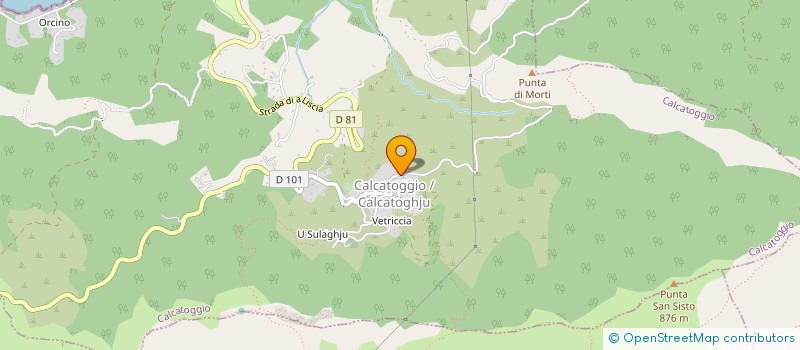 localisation de l'entreprise HOTEL CASTEL D'ORCINO  CALCATOGGIO