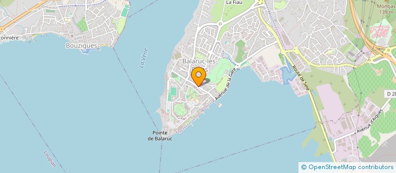 localisation de l'entreprise HOTEL CENTRAL  BALARUC-LES-BAINS