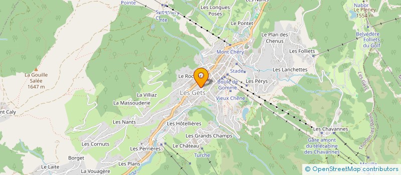 localisation de l'entreprise HOTEL CHAMOIS D'OR à LES GETS