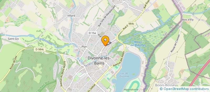 localisation de l'entreprise HOTEL DES COCCINELLES à DIVONNE-LES-BAINS