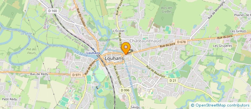 localisation de l'entreprise HOTEL DU JURA à LOUHANS