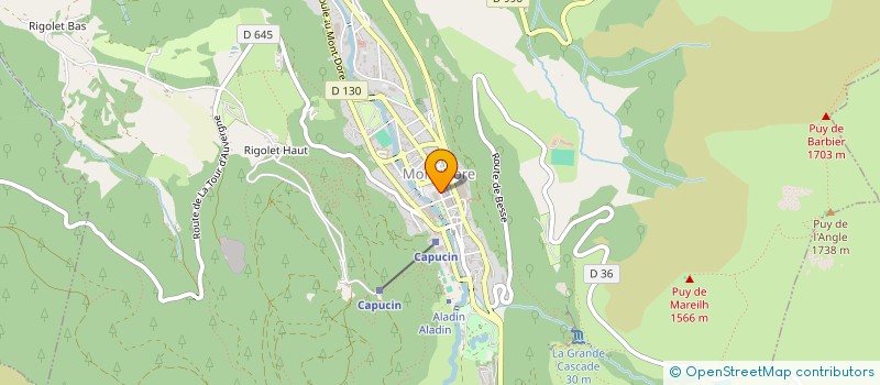 localisation de l'entreprise HOTEL DU PARC  MONT-DORE