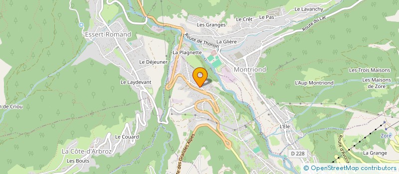 localisation de l'entreprise HOTEL LES FLEURS à MORZINE