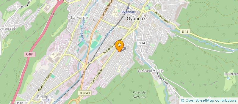 localisation de l'entreprise HOTEL RESTAURANT DE L'ALBARINE à OYONNAX