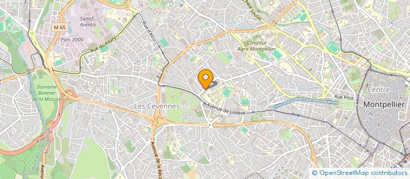 localisation de l'entreprise HOUSE BUNS à MONTPELLIER