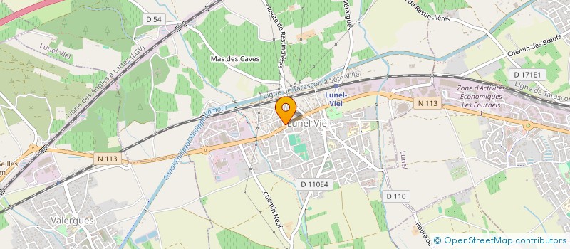 localisation de l'entreprise HP SERVICES à LUNEL-VIEL