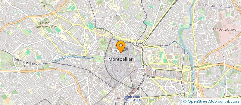 localisation de l'entreprise HUGO FRESH CUT à MONTPELLIER