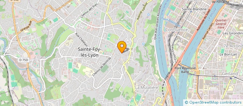 localisation de l'entreprise HUMAN CONTRIBUTION à SAINTE-FOY-LES-LYON