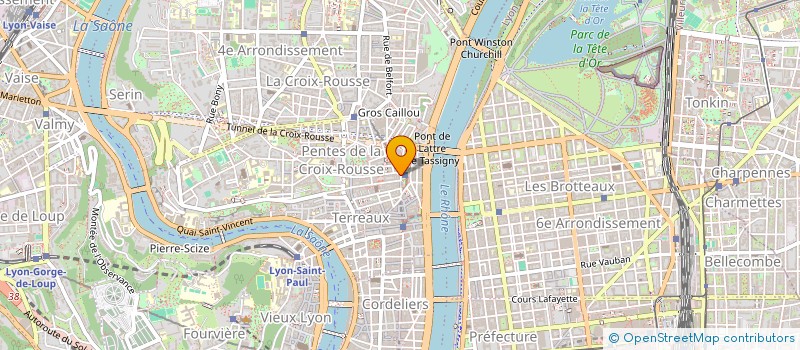 localisation de l'entreprise HUMAN JOB à LYON