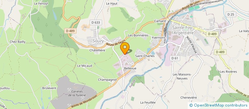 localisation de l'entreprise IANAU INVEST  SOUZY