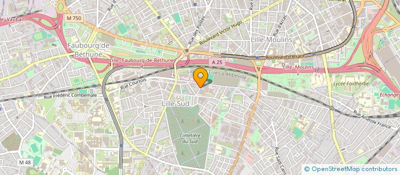 localisation de l'entreprise IANCLIC  LILLE