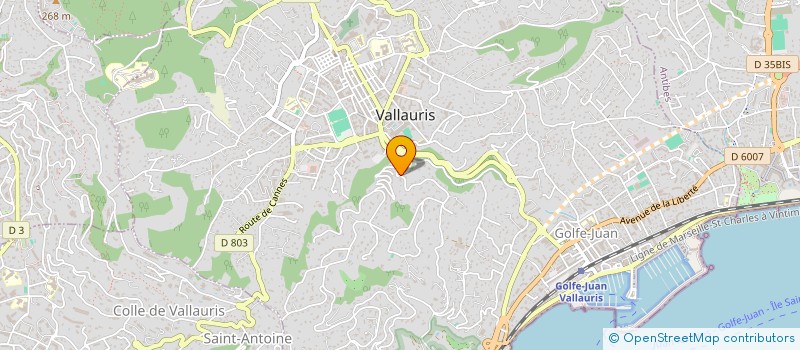 localisation de l'entreprise IBELIEVE  VALLAURIS