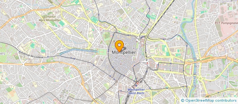 localisation de l'entreprise IBIZCUS à MONTPELLIER