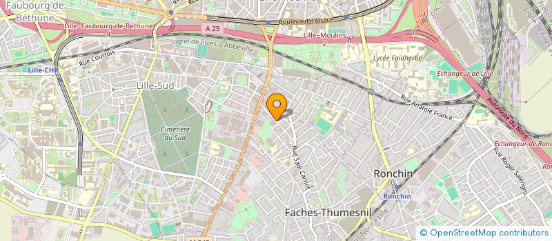 localisation de l'entreprise ICARUS à FACHES-THUMESNIL