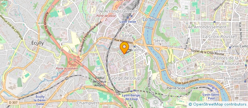 localisation de l'entreprise ICIPAUSE  LYON