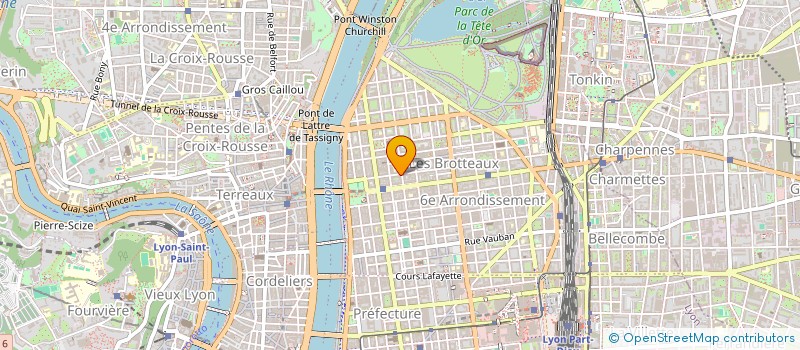 localisation de l'entreprise ICMMS à LYON