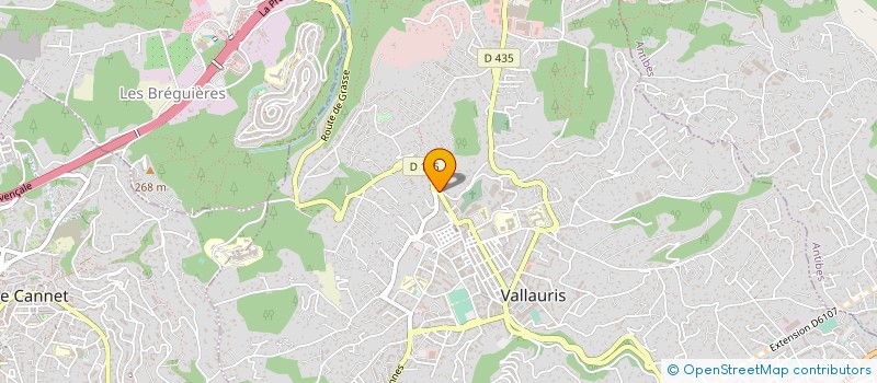 localisation de l'entreprise ICOBAT à VALLAURIS