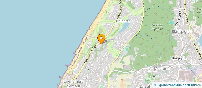 localisation de l'entreprise ICON JIU JITSU TEAM - PAYS BASQUE  ANGLET