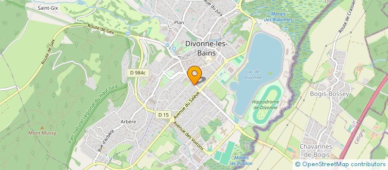 localisation de l'entreprise ICONE  DIVONNE-LES-BAINS