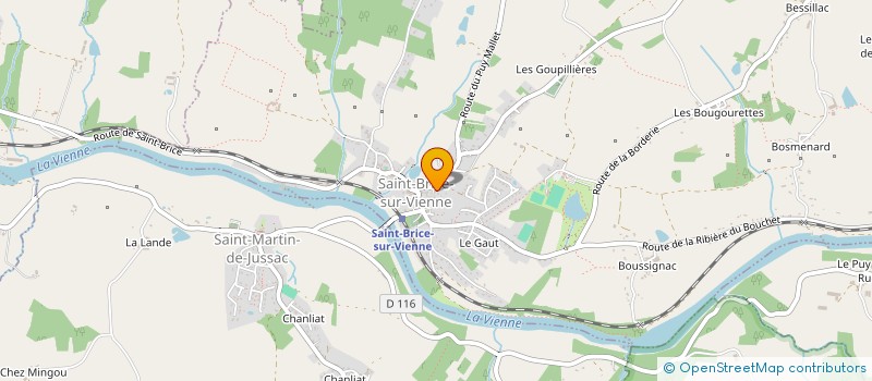 localisation de l'entreprise ICOZ  SAINT-BRICE-SUR-VIENNE