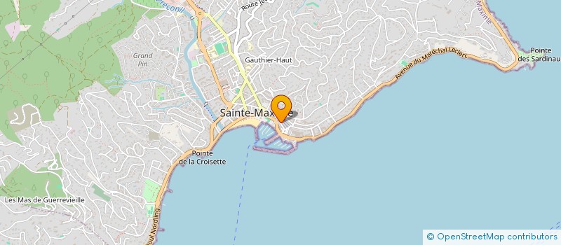 localisation de l'entreprise ICS à SAINTE-MAXIME
