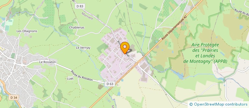 localisation de l'entreprise ICS AUTO LYON à MORNANT