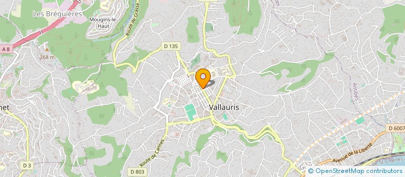 localisation de l'entreprise ID CONCEPT à VALLAURIS