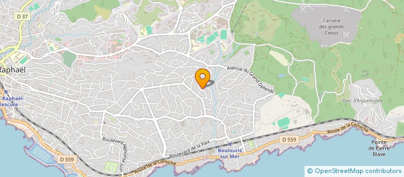 localisation de l'entreprise IDARE CONSULTING à SAINT-RAPHAEL