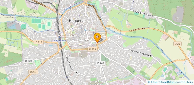 localisation de l'entreprise IDEA SERVICE à HAGUENAU