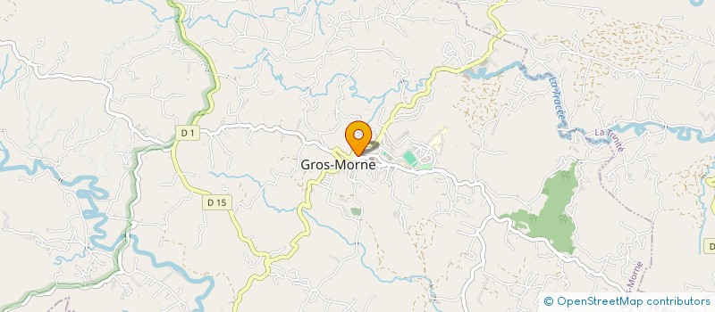 localisation de l'entreprise IDEAL NET MULTISERVICES  GROS-MORNE