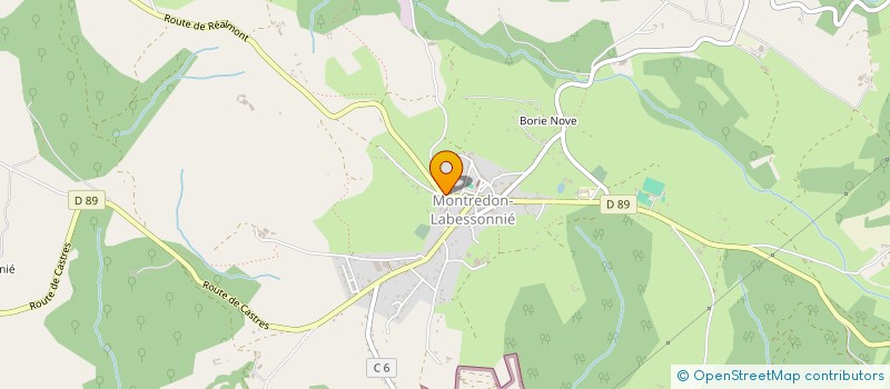 localisation de l'entreprise IDEES TARN  MONTREDON-LABESSONNIE