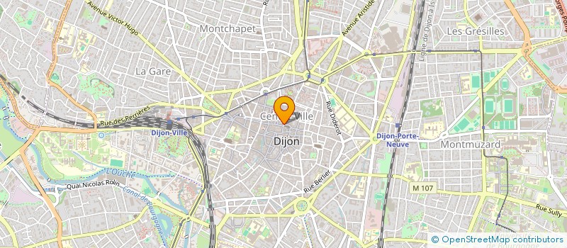 localisation de l'entreprise IDEFIX à DIJON