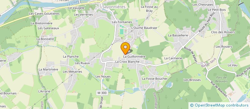 localisation de l'entreprise IDEST CONSEIL  SAVONNIERES