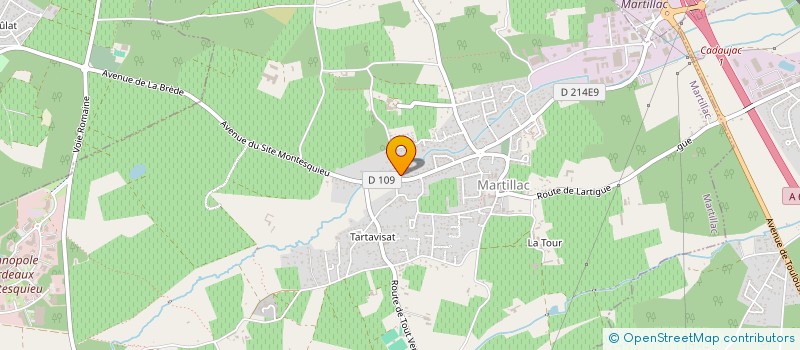 localisation de l'entreprise IDETIS  MARTILLAC