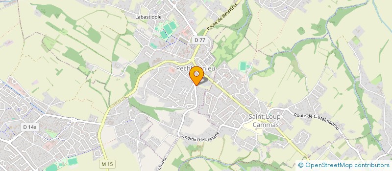 localisation de l'entreprise IDISS IMMOBILIER  PECHBONNIEU