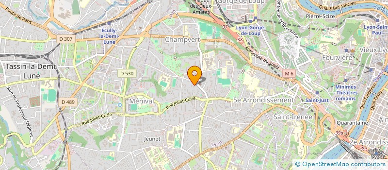 localisation de l'entreprise IDNEX  LYON